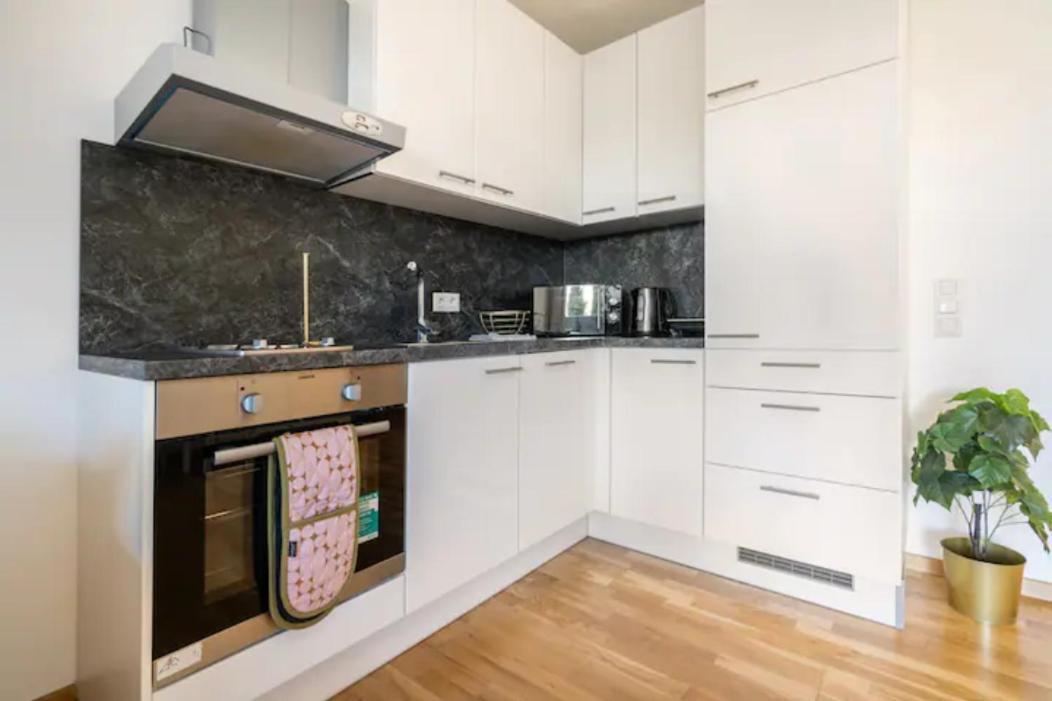 Near Lake Fully Furnished Beautiful Apartment Виена Екстериор снимка